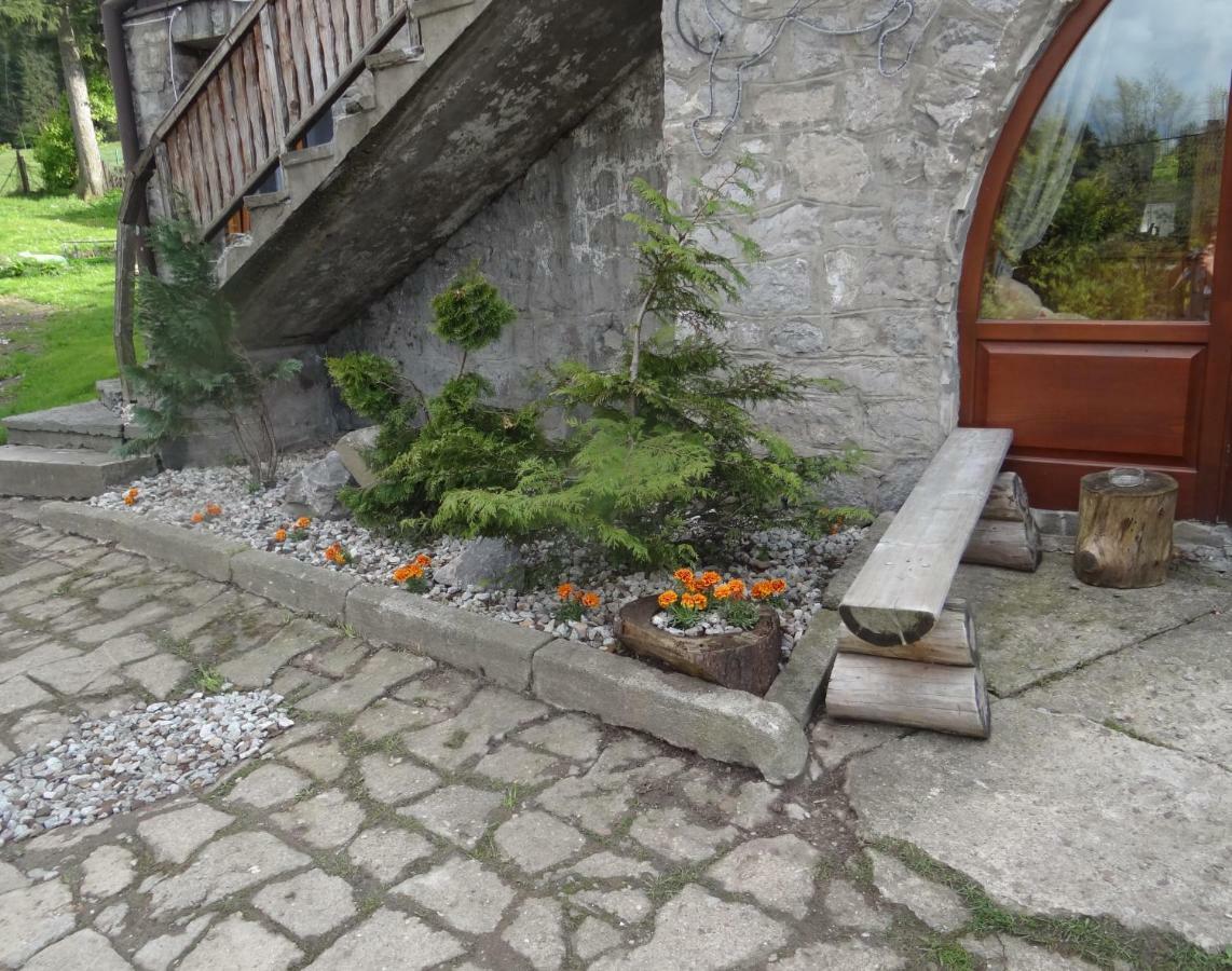 Willa Jaszczurówka 26 Zakopane Exterior foto